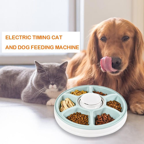 Healthy Pet Simply Feed Automatic Cat and Dog Feeder - Etrendpro